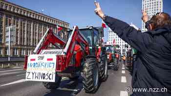 Ukrainische Agrarexporte spalten Europa – die EU findet zu einem Minikompromiss