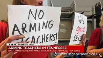 Angry protests as Tennessee Republicans pass law allowing teachers to carry concealed weapons