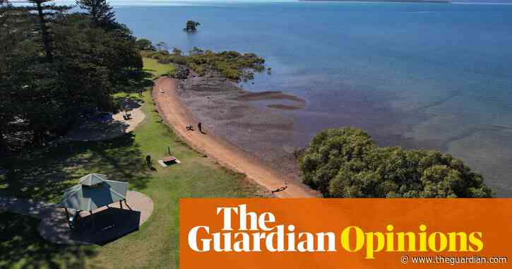 Tanya Plibersek’s proposal to save Toondah Harbour is a win for both threatened species and people power