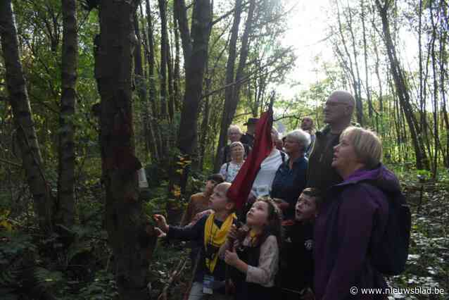 KWB Balen organiseert wandeldag