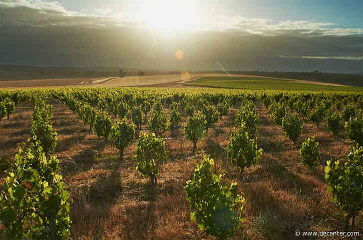 Great Southern wines: Australia's biggest secret