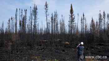 Canada at risk of another devastating wildfire season, federal government warns