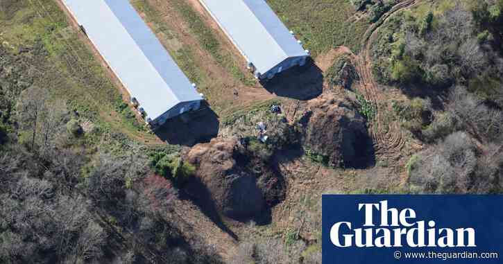 Laws catering to ‘factory farms’ bring fly-infested, smelly manure mounds to rural US