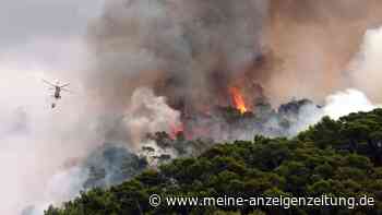Schwere Waldbrände auf Mallorca: Urlaubsort an Ostküste evakuiert