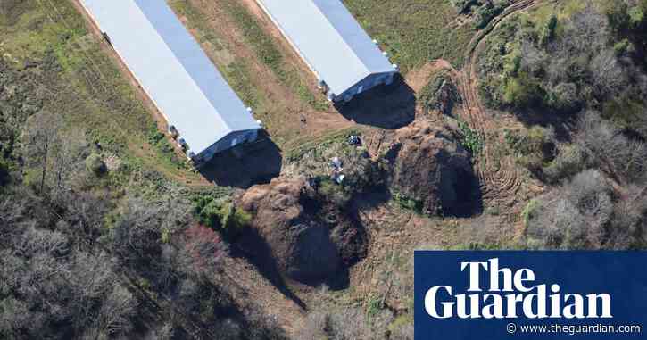 ‘As big as my house’: North Carolina allows manure mounds on factory farms