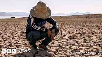 Parched and shrinking - vital Moroccan dam dries up