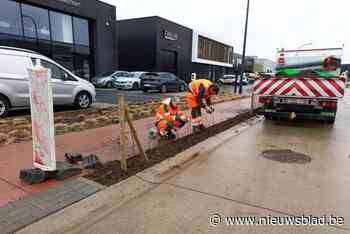 Haag zorgt voor veilige afscheiding tussen rijweg en  fietspad in bedrijvenzone