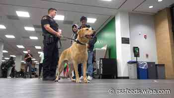 University of North Texas gives K9 officer campus farewell tour