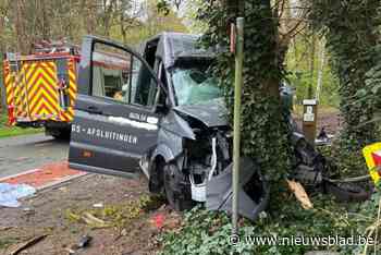 Jonge chauffeur (18) belandt tegen boom