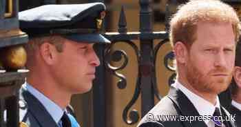 Prince Harry safety fears 'blown apart' after Prince William's pub visit with Kate's mum