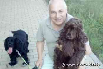 Hond Thibby overlijdt na “moedwillige”aanrijding, baasje Thierry (63) in zak en as: “Zijn geschreeuw ging door merg en been”
