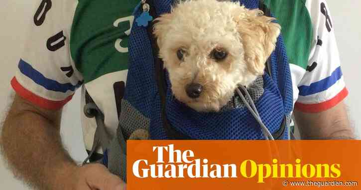 I’m a popular cyclist – but only when I bring my toy poodle along for the ride | Steven Herrick