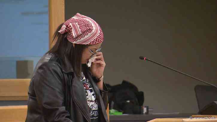 'More suits than hearts': Saskatoon resident makes emotional plea on behalf of unhoused to city committee