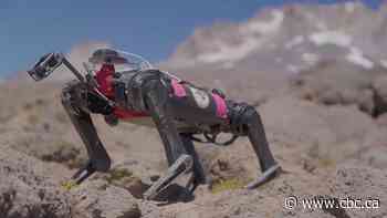 Meet Spirit, a robot being trained to walk on the moon