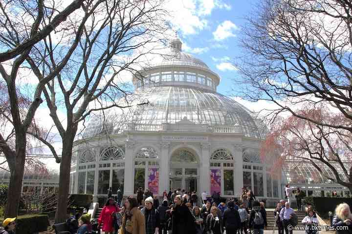 Florals and fashion come to life in New York Botanical Garden’s Orchid Show