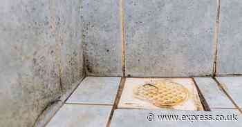 Whiten filthy grout ‘effectively’ with three household items - no white vinegar or bleach