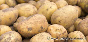 Aardappelvoorraad België is niks te groot