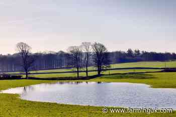 Defra removes &#39;150m limit&#39; from new flood recovery grant after backlash