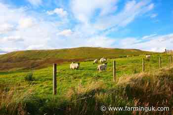 Traditional farming practices &#39;threatened&#39; by environmental projects