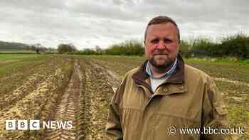 Dead lambs and 'decimated crops' on rain-soaked farms