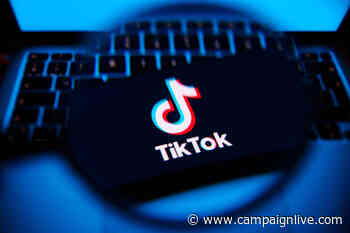 TikTok lets brands avoid violence and gambling with new safety tools