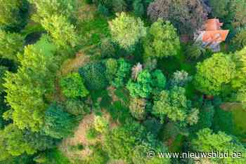 Communicanten kunnen zich laten fotograferen met De Motte als decor