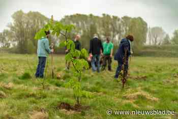 Afdelingen van Groen planten bomen op terrein van Captain Jack: “De Antwerpse zuidrand heeft dringend behoefte aan meer natuur”