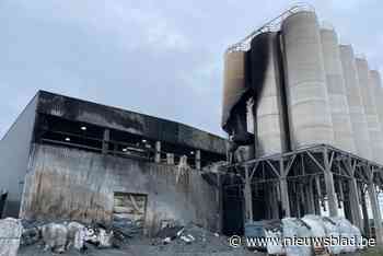 Vier silo’s vernield na brand bij Ecoo in Beringen: “Gelukkig alleen materiële schade”