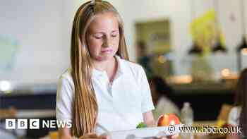Fears pupils prefer processed food to school meals