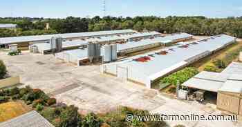 Large-scale commercial poultry farm on the market for around $5m