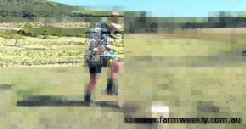 Daniel digs deep with dung beetle study