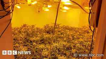 Police destroy cannabis factory at empty property