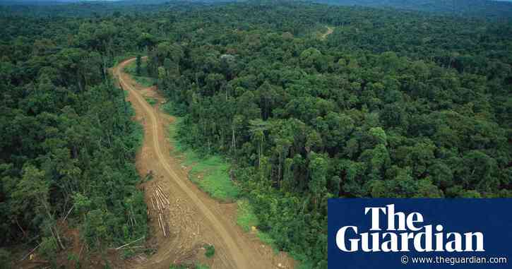 Network of ‘ghost roads’ paves the way for levelling Asia-Pacific rainforests