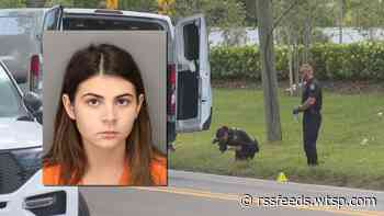 Police: Woman arrested for hit-and-run crash that left man dead in a ditch in Pinellas Park