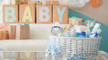 Hillsborough County to host third annual baby shower for the community