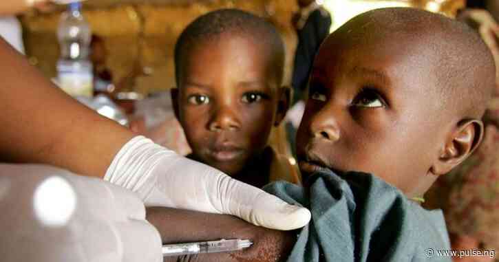 Nigeria becomes first country to introduce new meningitis vaccine - WHO