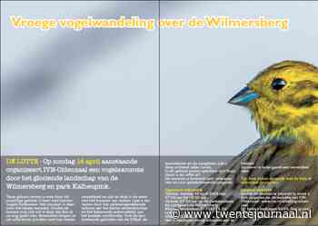 Vroege vogelwandeling over de Wilmersberg