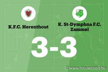 Herenthout en Zammel eindigt op 3-3