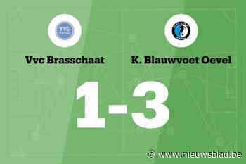 Zege Blauwvoet Oevel op Brasschaat B