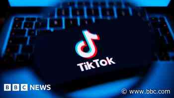 Government should counter misinformation on TikTok - MPs