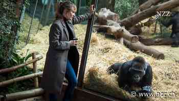 Der Zürcher «Tatort» will sich locker machen. Und geht in den Zoo. Resultat: ein Fall wie vom Affen gebissen