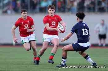 The threat of England to Welsh academies and what WRU must do now