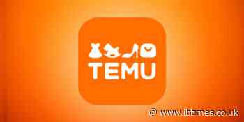 Is Temu Safe To Buy From or Is Temu a Scam? What You Need To Know