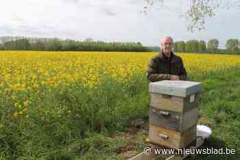 Dieven aan de haal met twee bijenkasten van imker Raf (73: “Het ergste is dat het waarschijnlijk collega’s zijn”