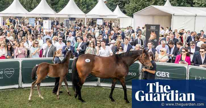 Owning a racehorse is the latest way for rich millennials to brag