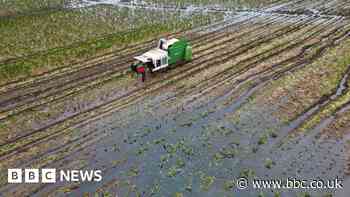 UK food production at threat after extreme flooding