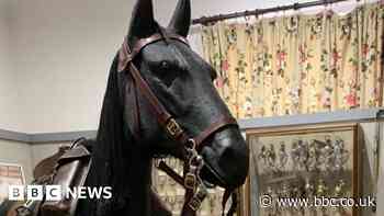 Horse museum started in spare rooms marks 10 years