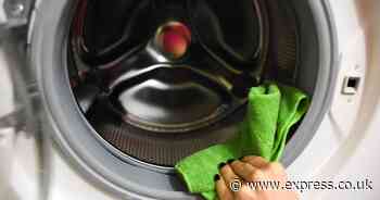 Remove mould and limescale from washing machine in 15 minutes with cleaner's ‘best’ method
