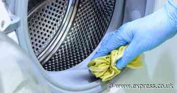 Appliance expert shares how often to clean your washing machine - 7-step method