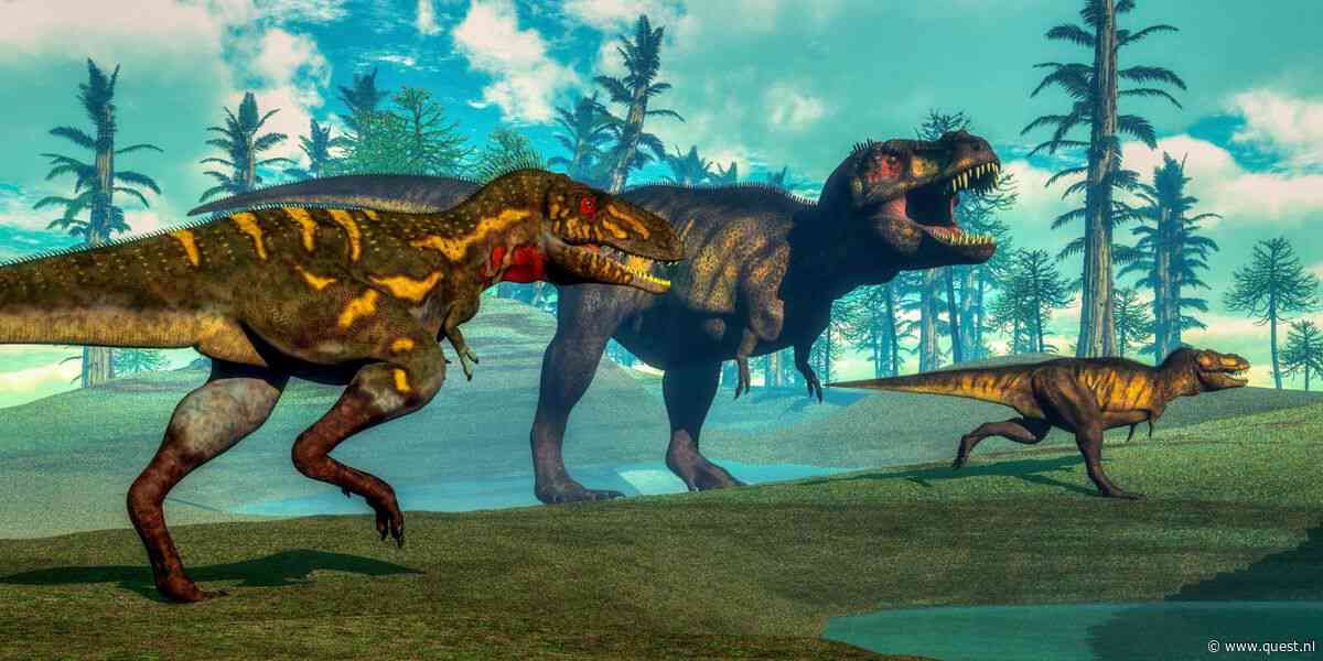 Quest Kort: wat is de identiteit van deze piepkleine T. rex?